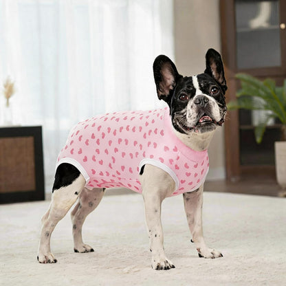 Miaododo post surgery pet suit twin pack close up on back buttons