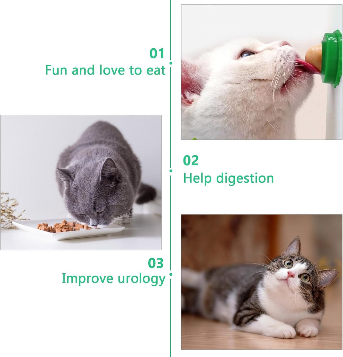 Domestic cat licking the adhesive Balacoo cat treats ball stuck to a glass door surface
