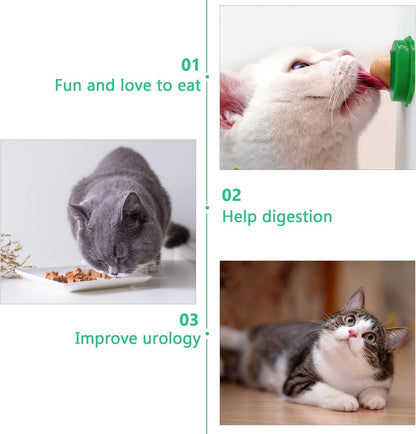 Domestic cat licking the adhesive Balacoo cat treats ball stuck to a glass door surface