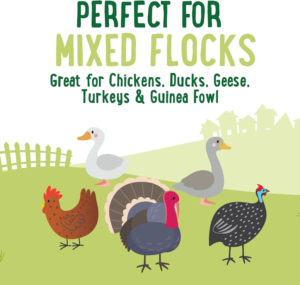 Rudra Retails authentic USA sourced poultry product display