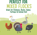 Rudra Retails authentic USA sourced poultry product display