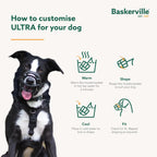 Baskerville medium dog muzzle showcasing the custom heat shaping process in warm water.