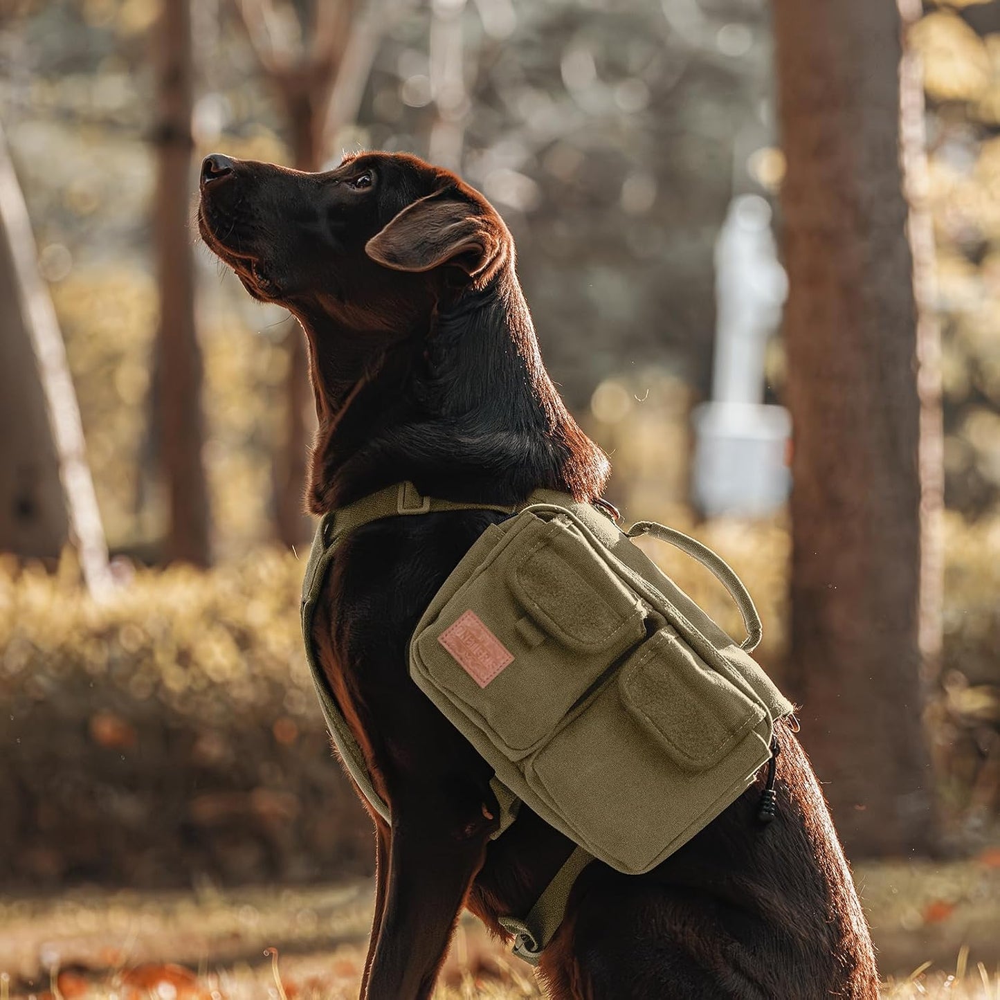Side view of OneTigris medium dog saddlebag harness showcasing the three pocket storage configuration