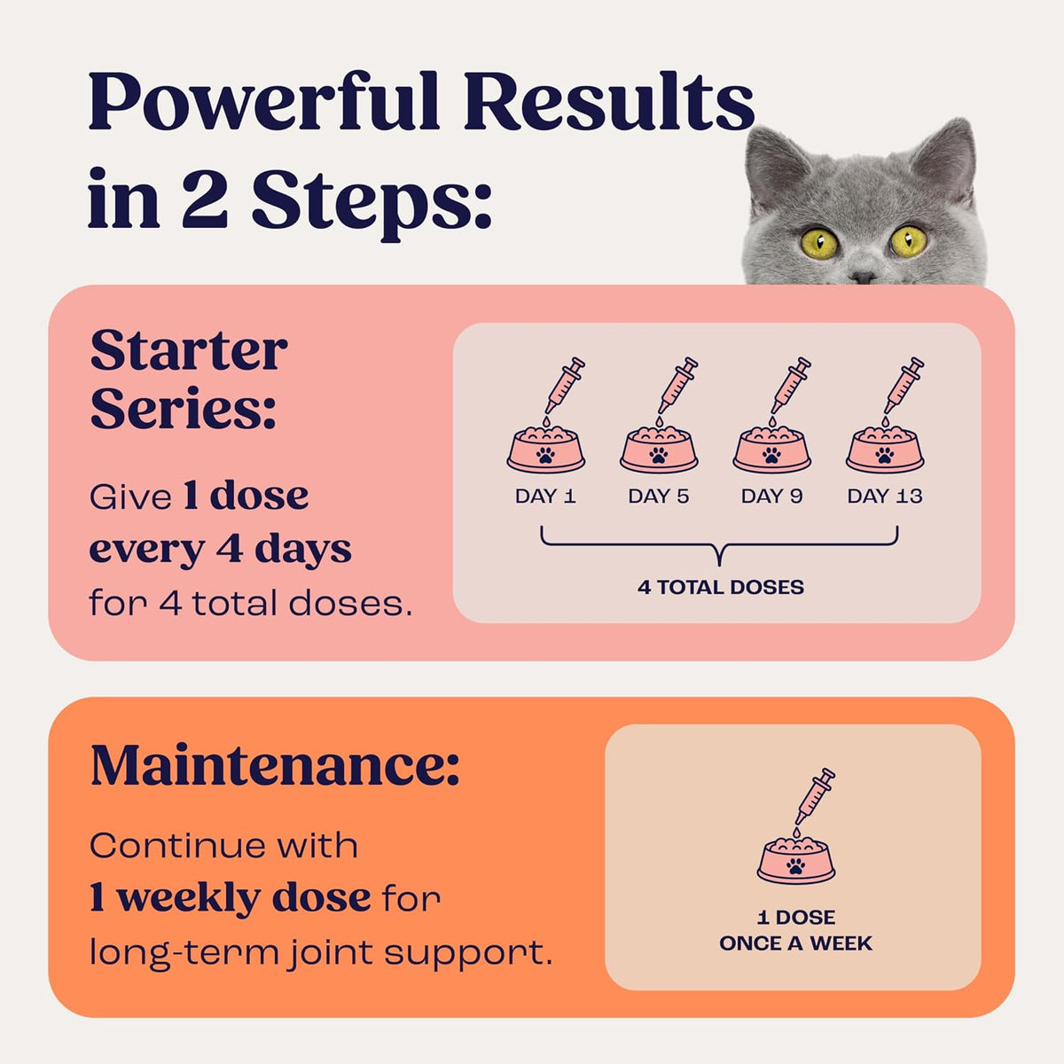 Close up of Summit Animal Health feline arthritis supplement