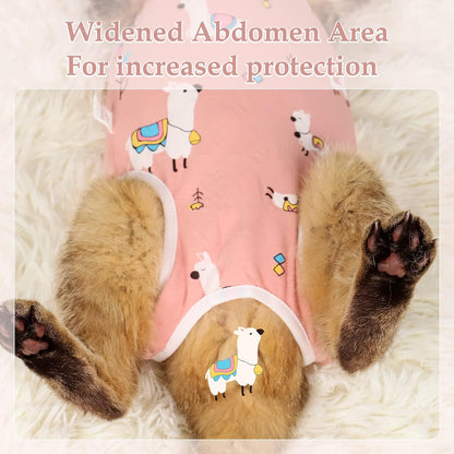ANWA breathable pet recovery clothing on a cat standing up.