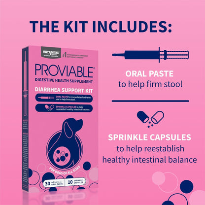 Authentic USA imported Nutramax Proviable kit for restoring dog intestinal microflora.