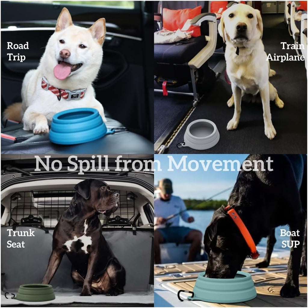 OHMO silicone dog bowl expanded fully to illustrate the wide anti-tip base and narrow top opening.