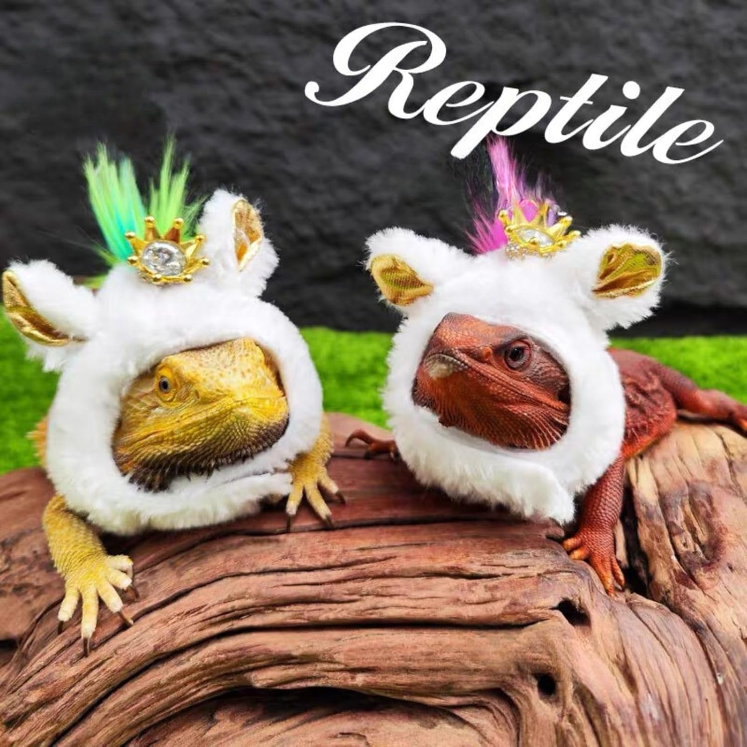 White miniature plush cap with gold crown decoration for exotic pets and lizards.