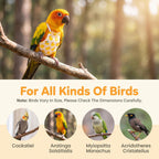 6 PCS Bird Diapers Reusable Parrot Diaper with Waterproof Inner - Image 7