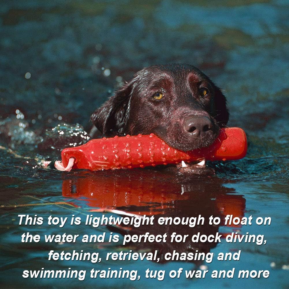 Holoras floating water fetch toy with white rope attached