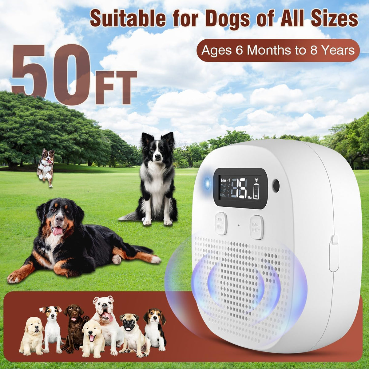 Plus Cable anti barking device with digital display screen