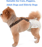 Adjustable elastic polyester canine suspender straps on a model dog showing secure back fitting