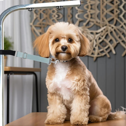 Gray and black pet grooming arm extenders for professional use