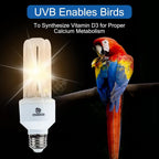 UVA UVB Light Bulb for Birds 2.4 UVB 20W Compact Flourescent Lamp for All Kinds Captive Birds - Image 4