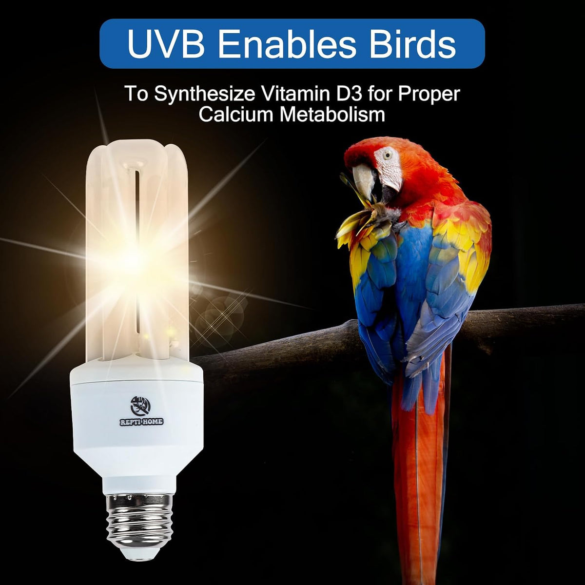 UVA UVB Light Bulb for Birds 2.4 UVB 20W Compact Flourescent Lamp for All Kinds Captive Birds - Image 4