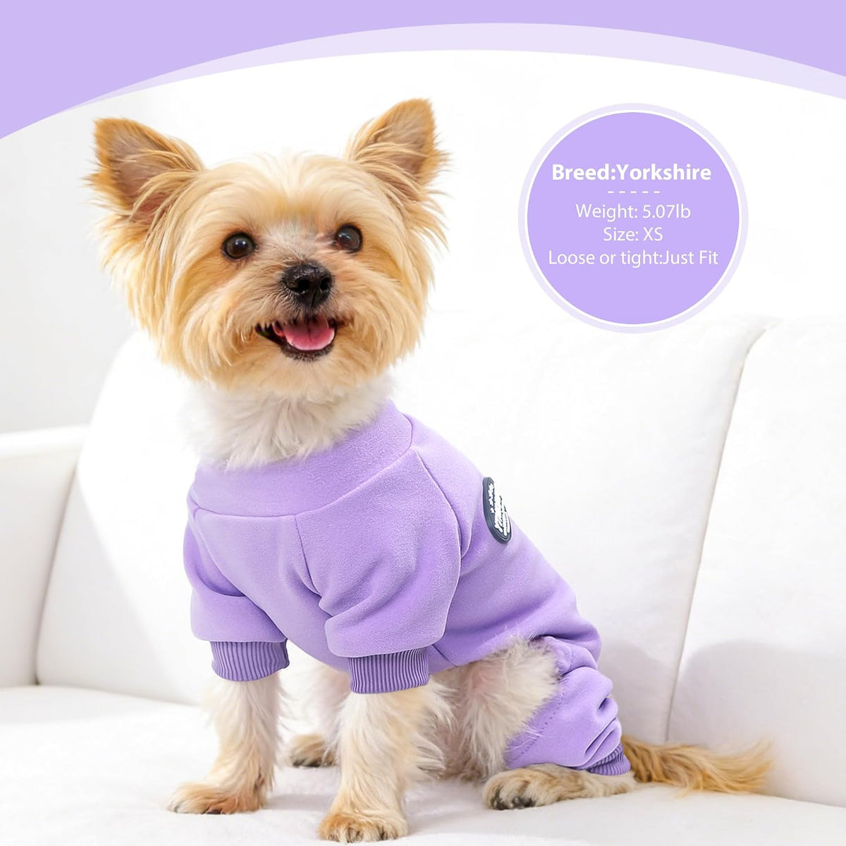 Dinkinty winter puppy pajamas stretchy four leg pet clothes purple