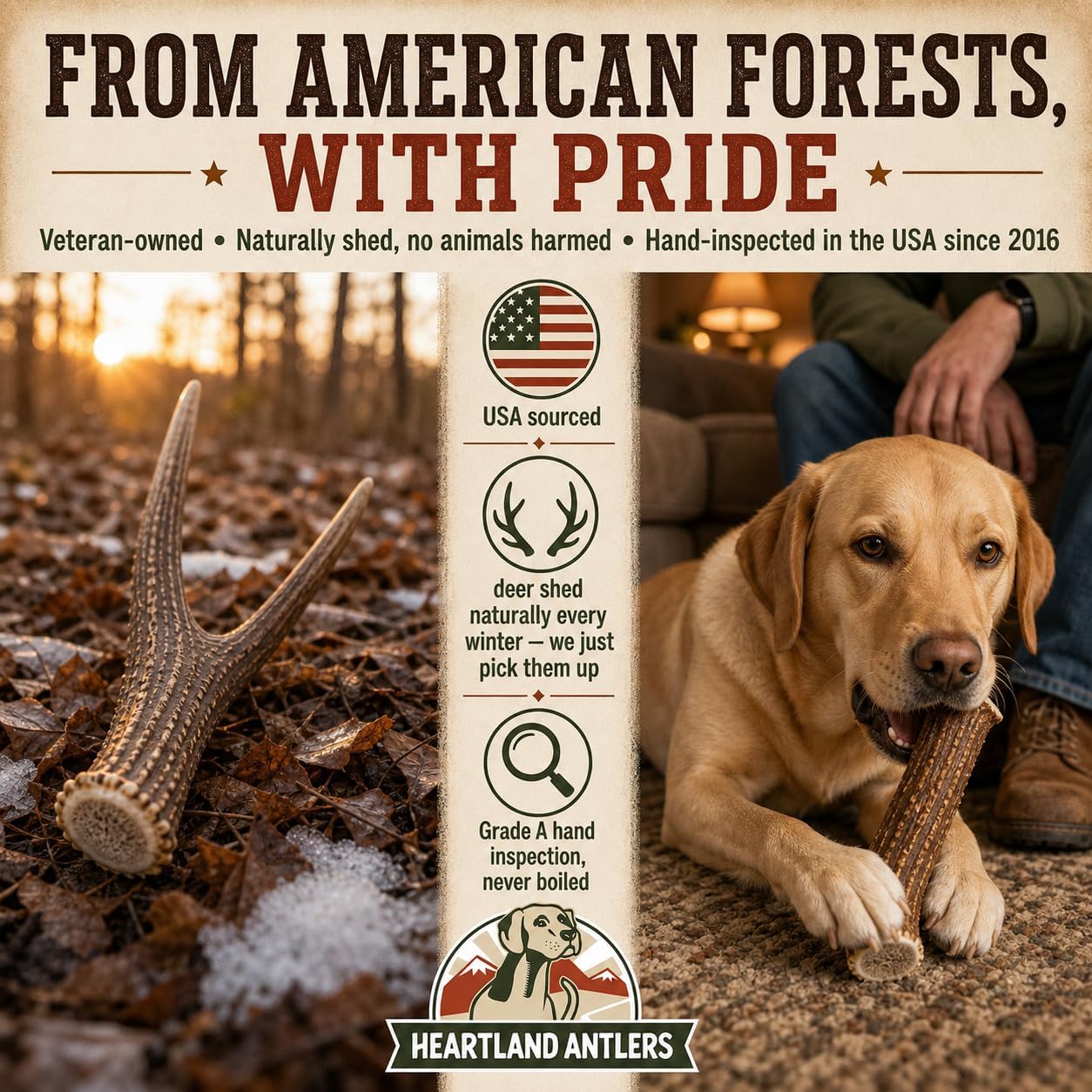 USA sourced durable whole deer antler chew for large breeds