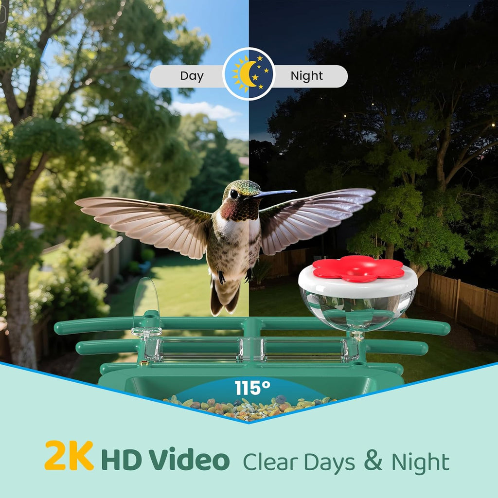Bird Feeder with Camera Outdoor Solar: Smart Birdfeeder with AI Recognition - 2K HD Live Stream Video Camera for Outside Wild Birds Garden Decor - Bird Lover Gifts - Image 4
