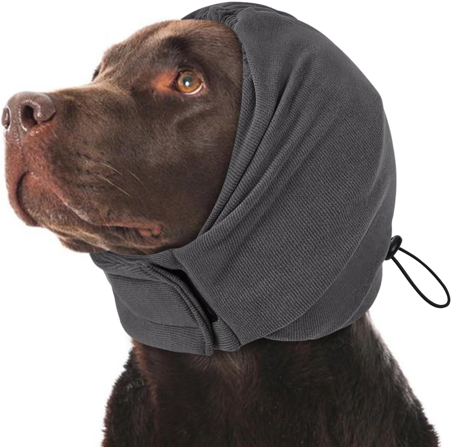 KOESON Dog Calming Hoodie front view on a grey dog showing secure ear coverage.
