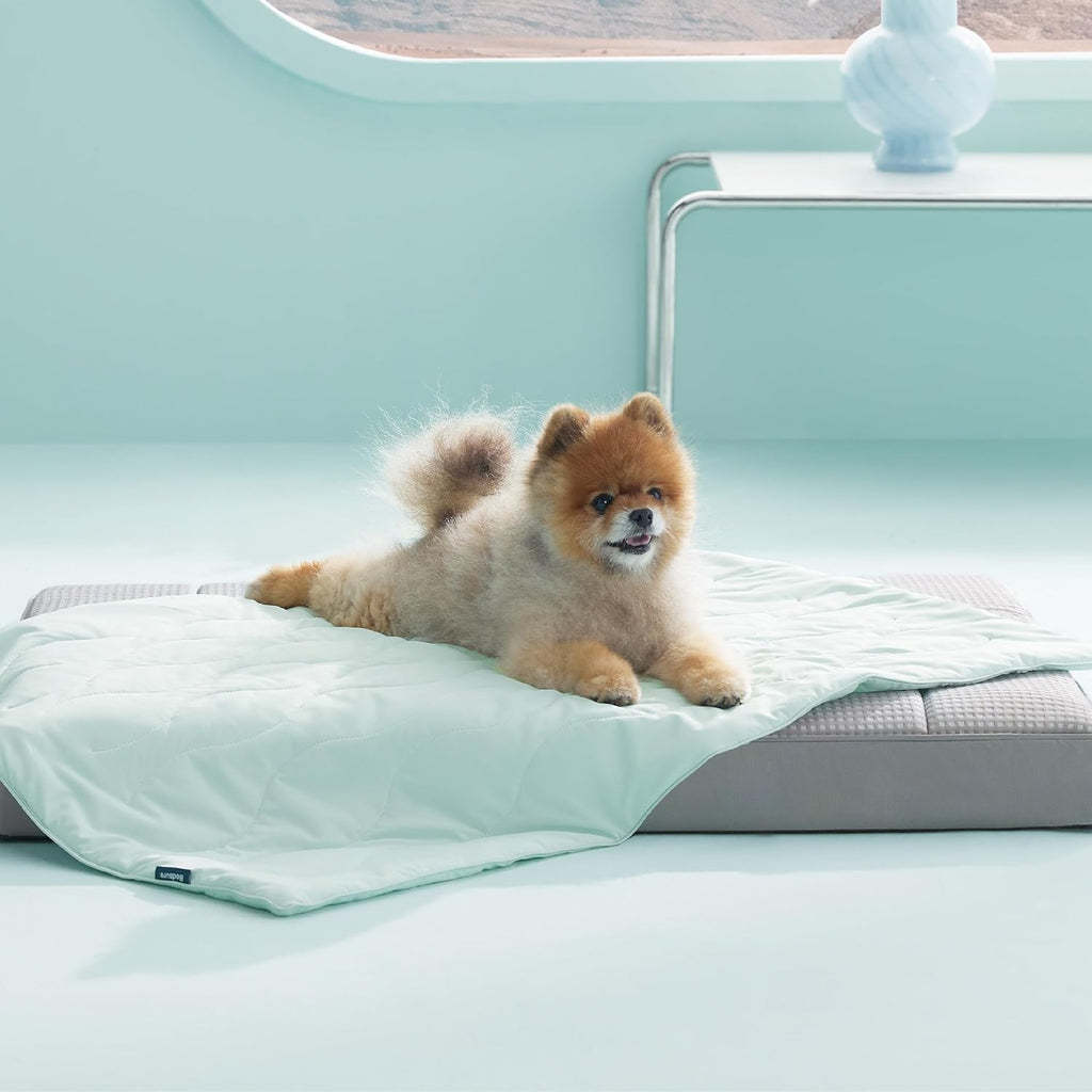 Bedsure Premium Cooling Blanket for Medium Dog - Q-MAX>0.5, Breathable Summer Washable Cold Pet Throw Blanket, Soft Durable Self Cooling Cat Mat for Hot Weather, Pearl Grey, 30x40 - Image 13