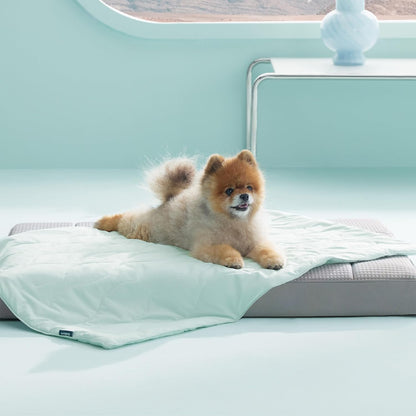 Bedsure Premium Cooling Blanket for Medium Dog - Q-MAX>0.5, Breathable Summer Washable Cold Pet Throw Blanket, Soft Durable Self Cooling Cat Mat for Hot Weather, Pearl Grey, 30x40 - Image 13