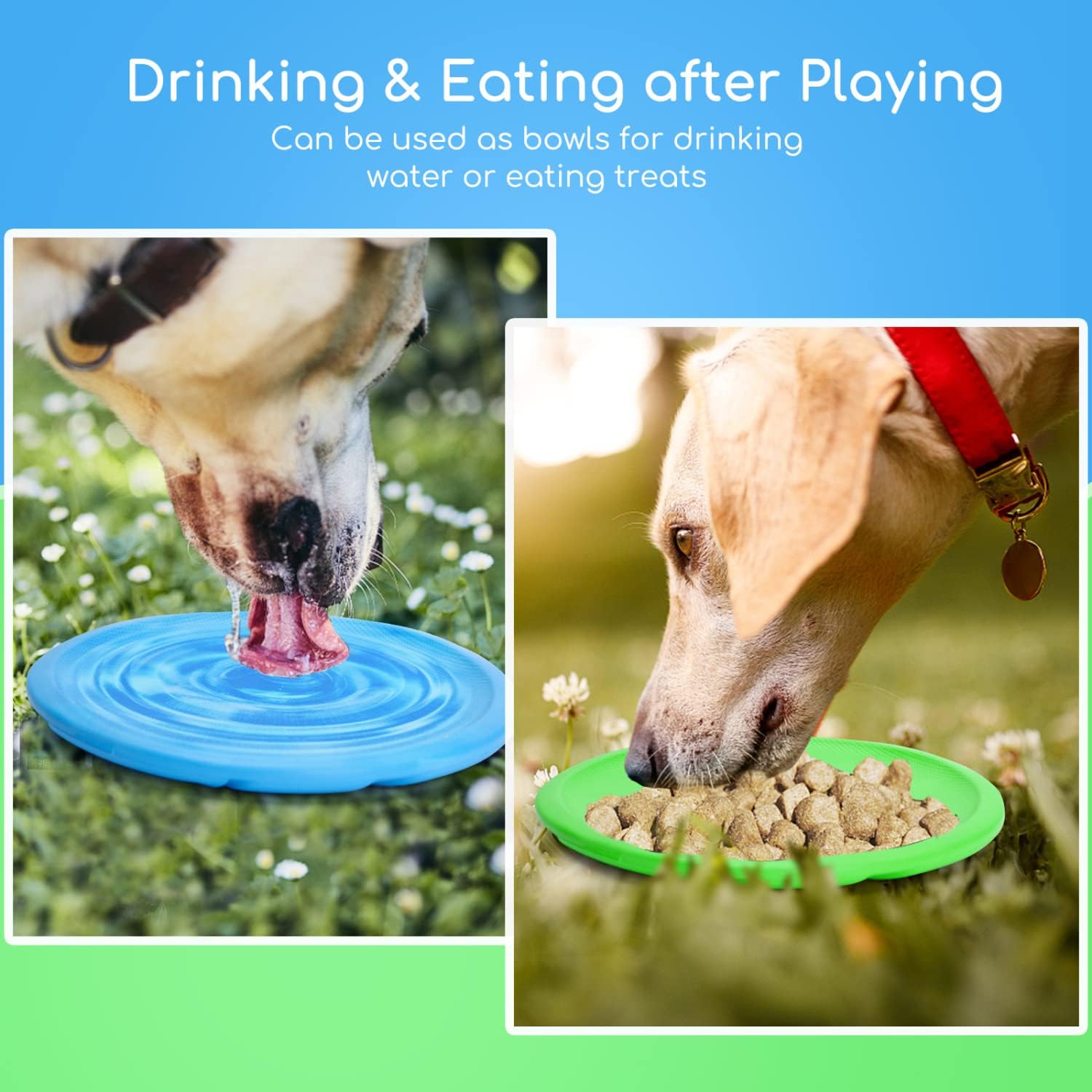 Nobleza EVA foam dog disc floating in water