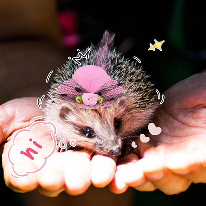 Weewooday feather top tiny pet hats for holiday themed photography props.
