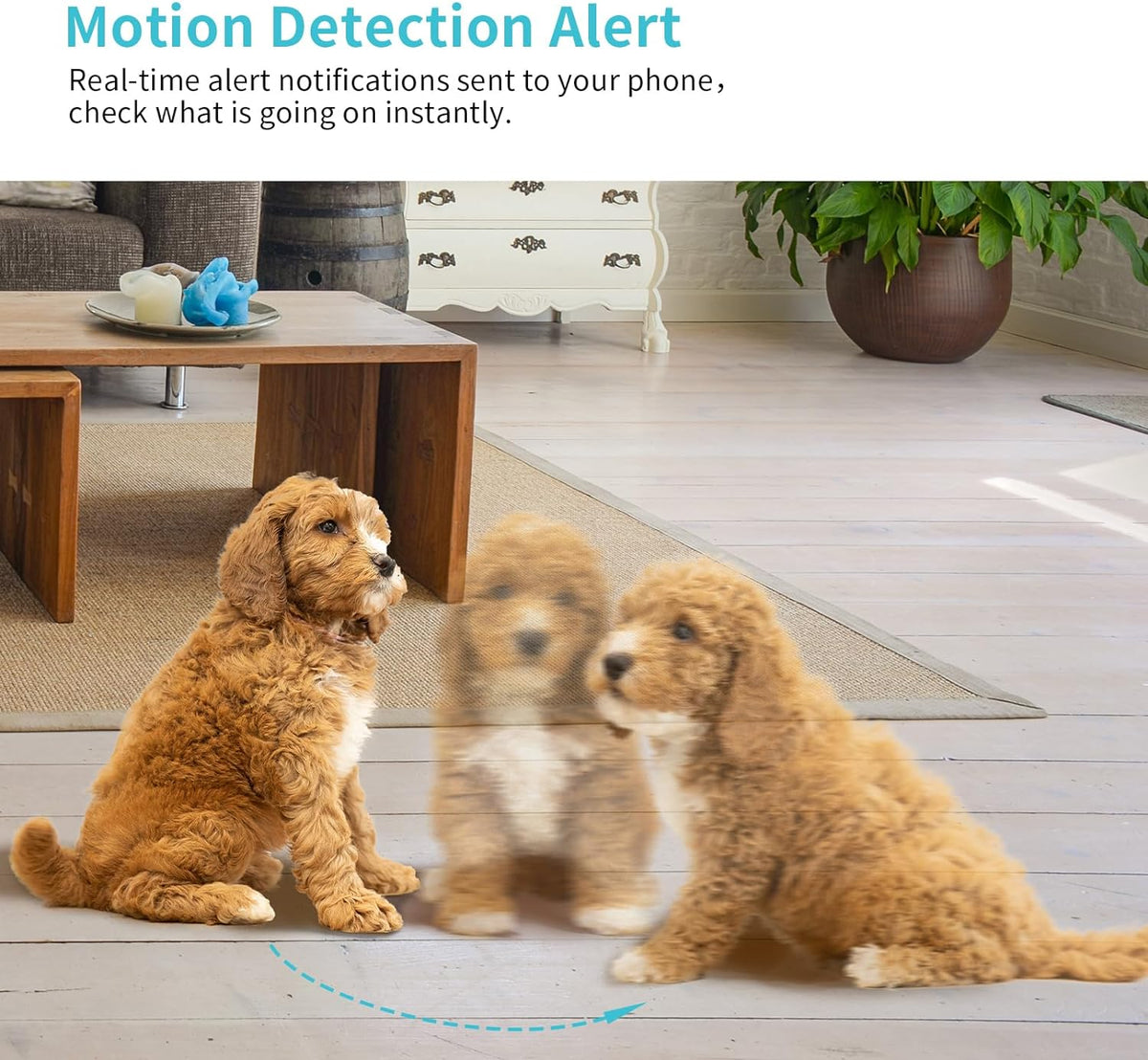 Two way audio home security camera with microphone and speaker