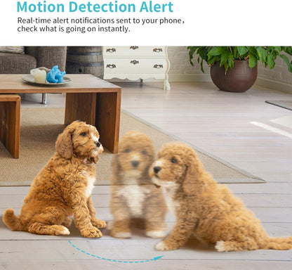 Two way audio home security camera with microphone and speaker