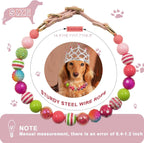 Medium sized dog wearing the PGEOIDT friendship bead collar during an outdoor walk.