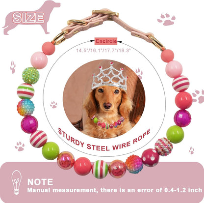Medium sized dog wearing the PGEOIDT friendship bead collar during an outdoor walk.