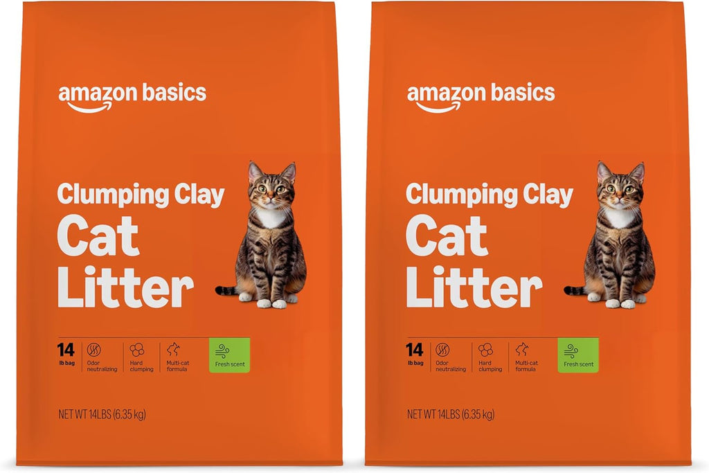 Multi-cat household usage concept with Amazon Basics litter