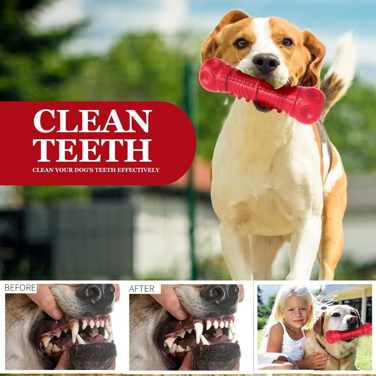 Durable squeaky toy for large and medium breed dogs