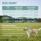 Auroth reflective dog harness nighttime safety high visibility view