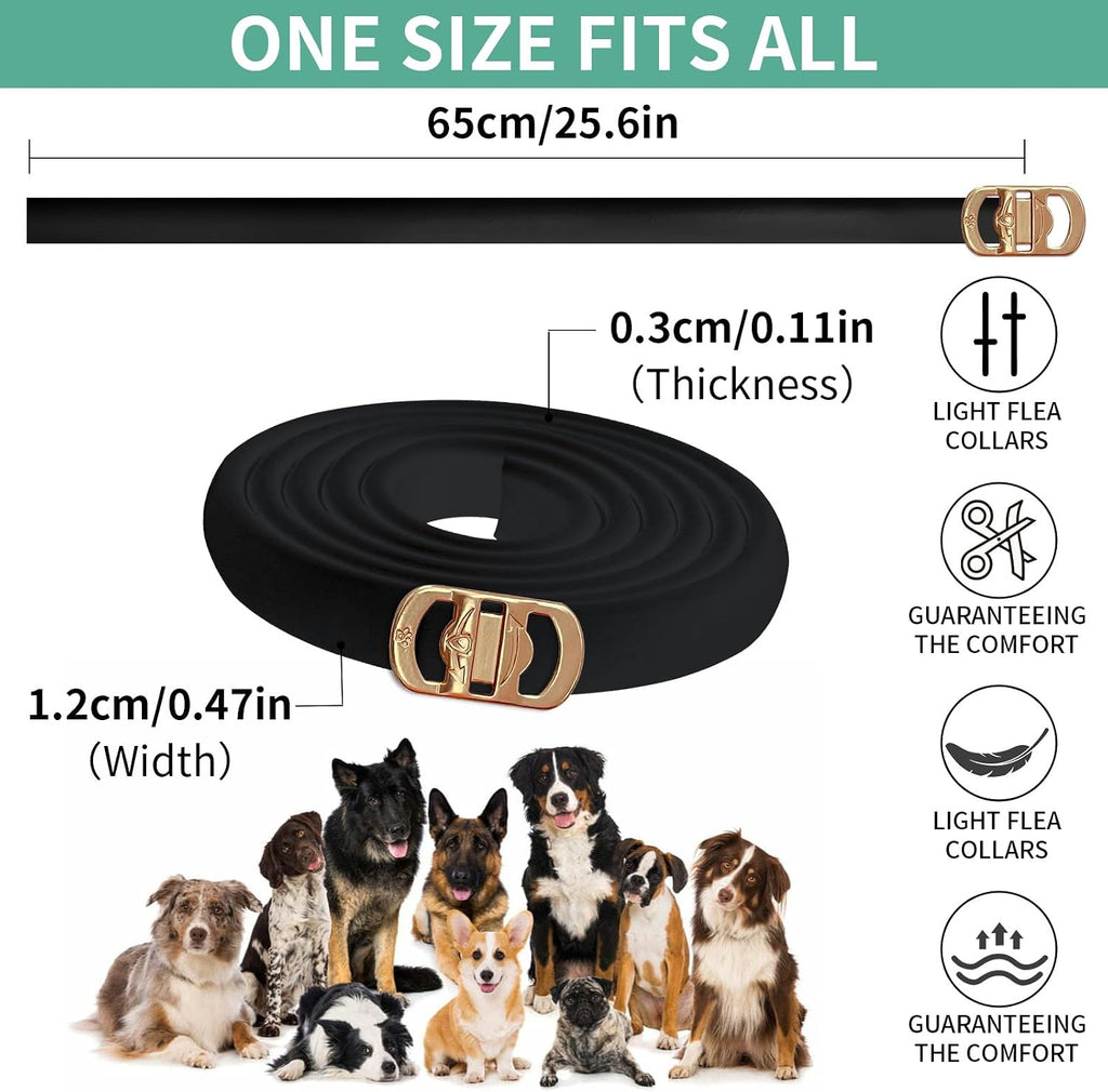 Dog wearing Puyrzoe flea and tick prevention collar