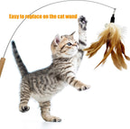 CATENEED interactive cat toy replacements featuring colorful natural feathers and shiny metal bells.