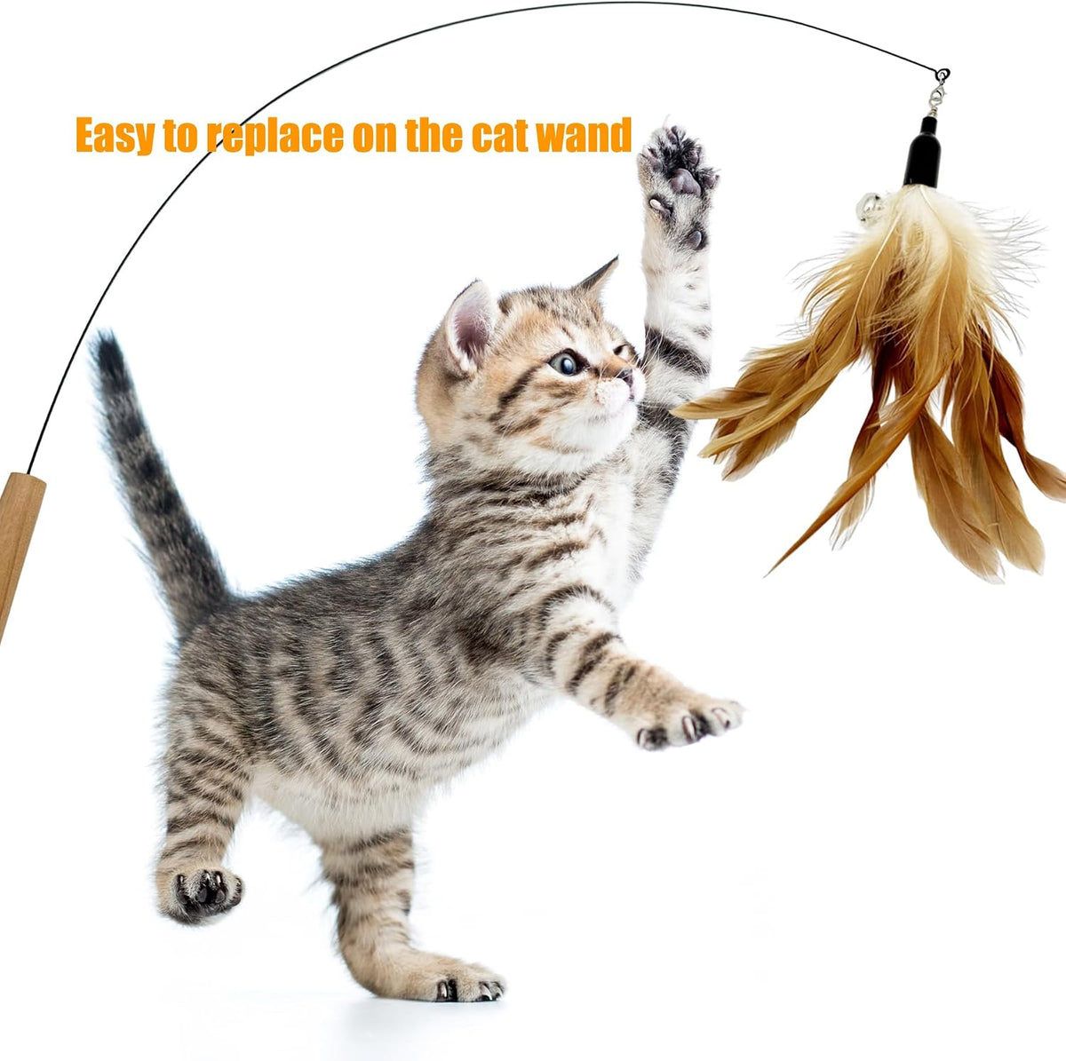 CATENEED interactive cat toy replacements featuring colorful natural feathers and shiny metal bells.