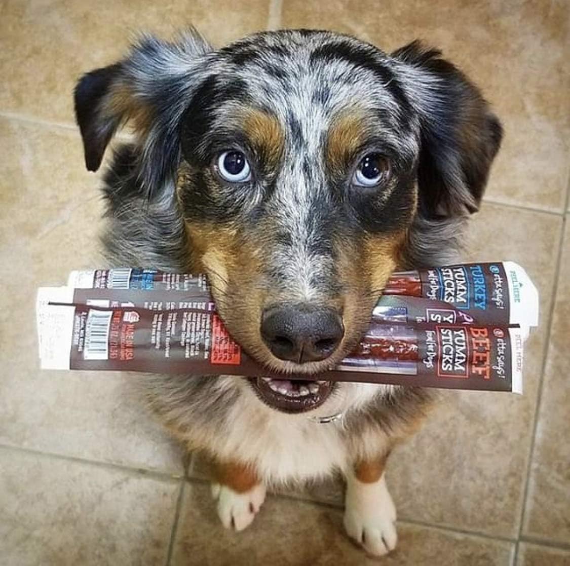 etta says! Yumm Sticks - Real Meat Jerky Dog Jerky Treats - Beef, Chicken, Pork, and Turkey Variety Pack - Human Grade - Made in The USA (12 Count Pack of 1) - Image 9