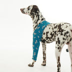 Elite medical grade dog leg wrap for postoperative skin protection and care