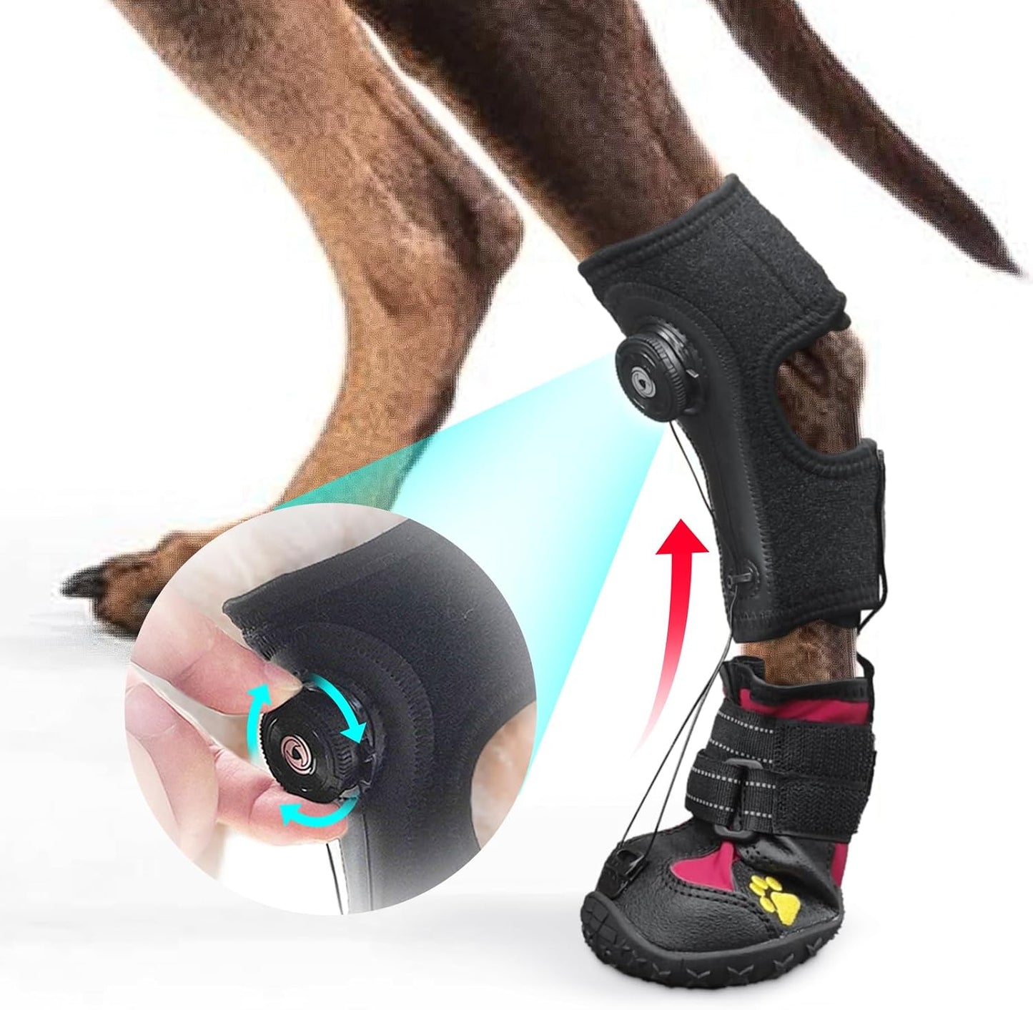 Strap-On Drop Foot Brace (No Knuckling Boot Brace) for Dogs- Corrective Dog Shoes to Safely Lift Toes for Foot Issues, Arthritis, and improving Walking gait in Dogs,Patent Pending(M) - Image 13