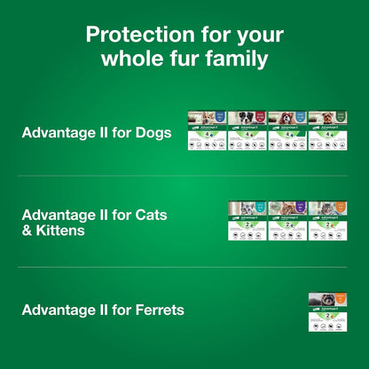 Authentic Advantage II ferret flea treatment tubes inside box