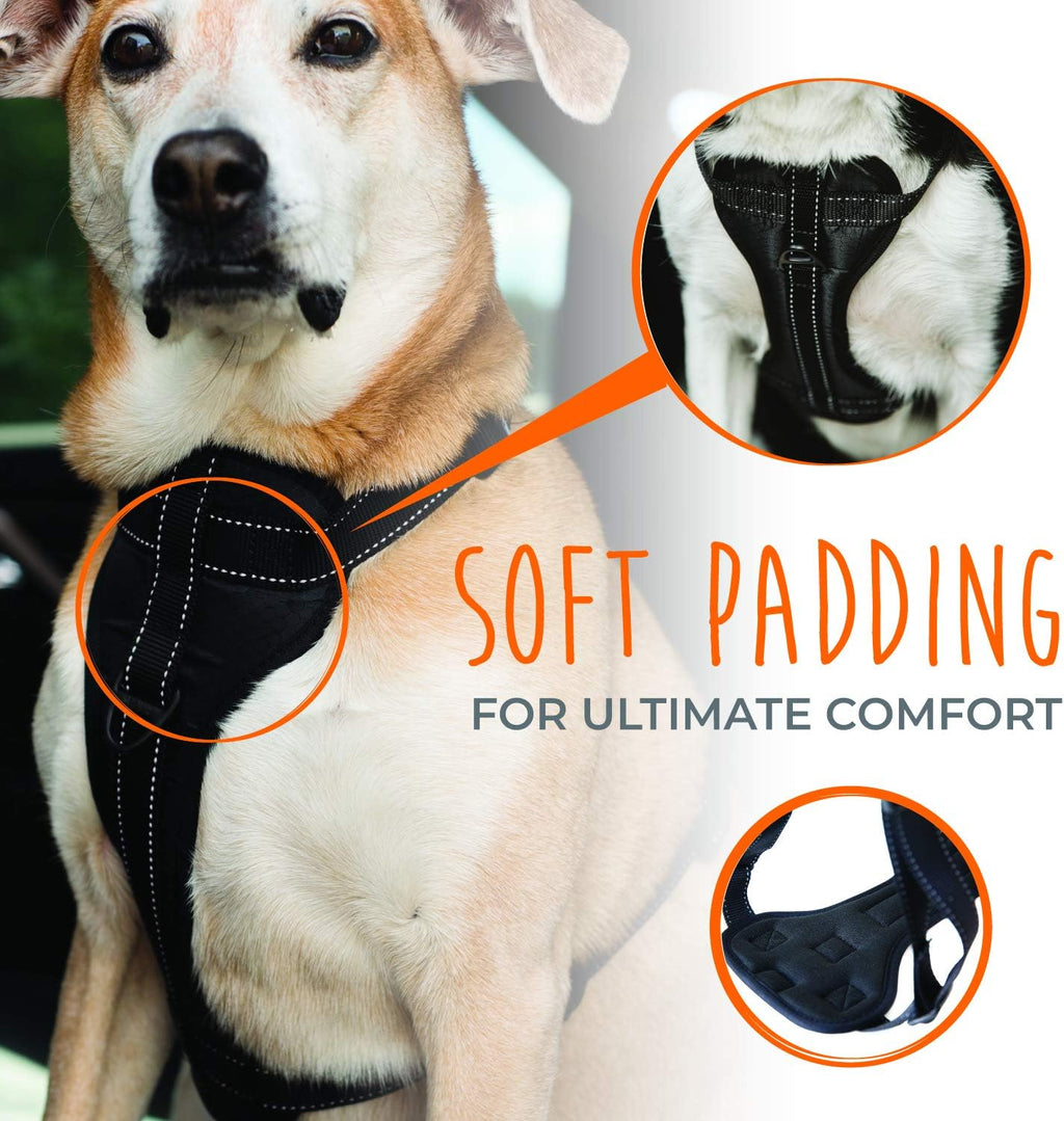 Close up of Mighty Paw dog harness heavy duty metal hardware