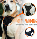 Close up of Mighty Paw dog harness heavy duty metal hardware