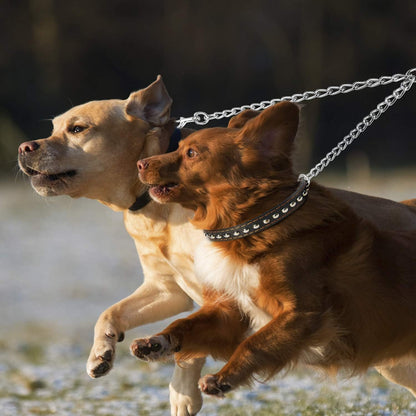 PETTOM Heavy Duty 2 Way Dog Lead Metal Chain Double Pet Clip Leash Coupler 360 degrees Swivel No Tangle Dog Walking & Training Lead (L 4.0mm*70cm, Silver) - Image 9