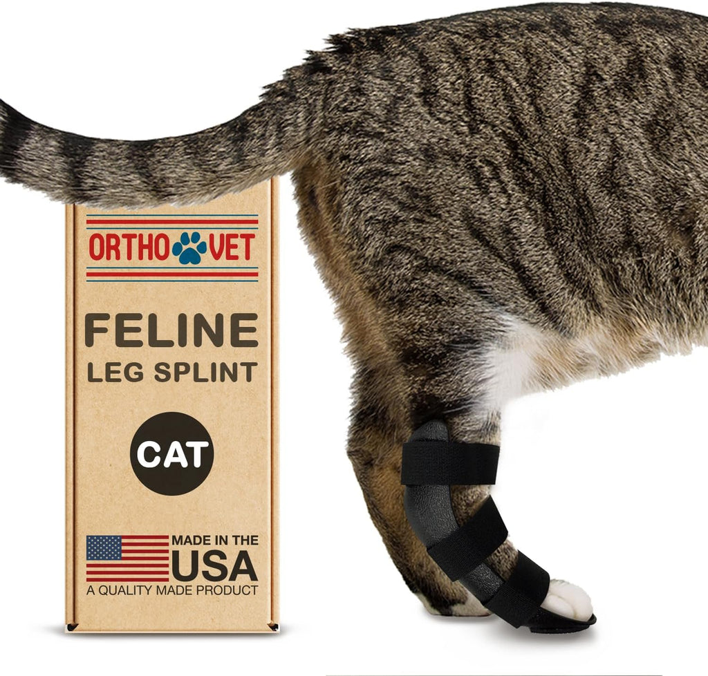 OrthoVet standard rear splint for cats front view