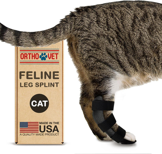 OrthoVet standard rear splint for cats front view