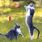 Multicolor fuzzy cat scratching post balls for active play sessions
