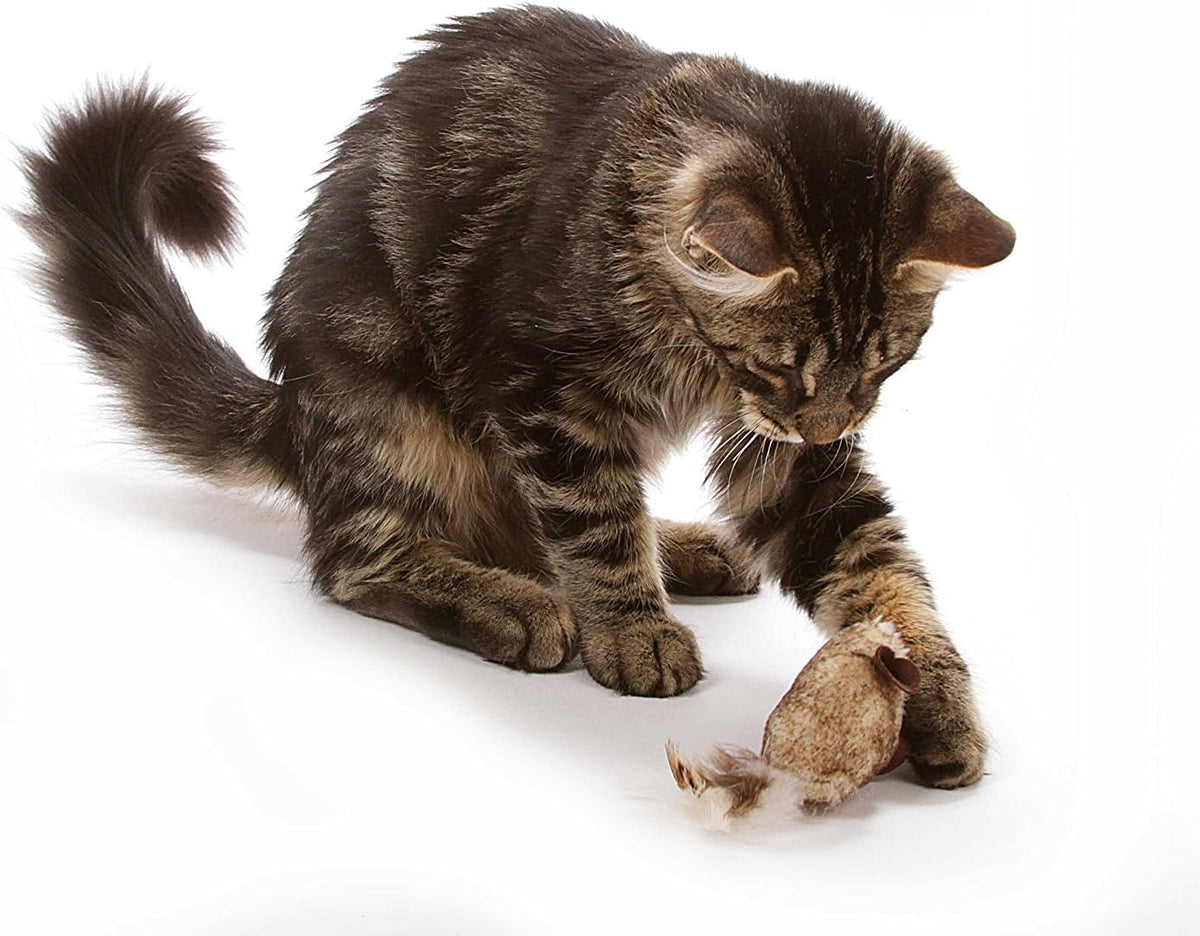 Our Pets Play-N-Squeak cat toy showing realistic faux-fur texture and electronic sound module