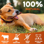 Thick natural grass-fed beef pizzle dog chew close up