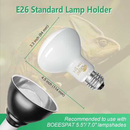 Two pack reptile habitat warming lamps showcasing tungsten filament